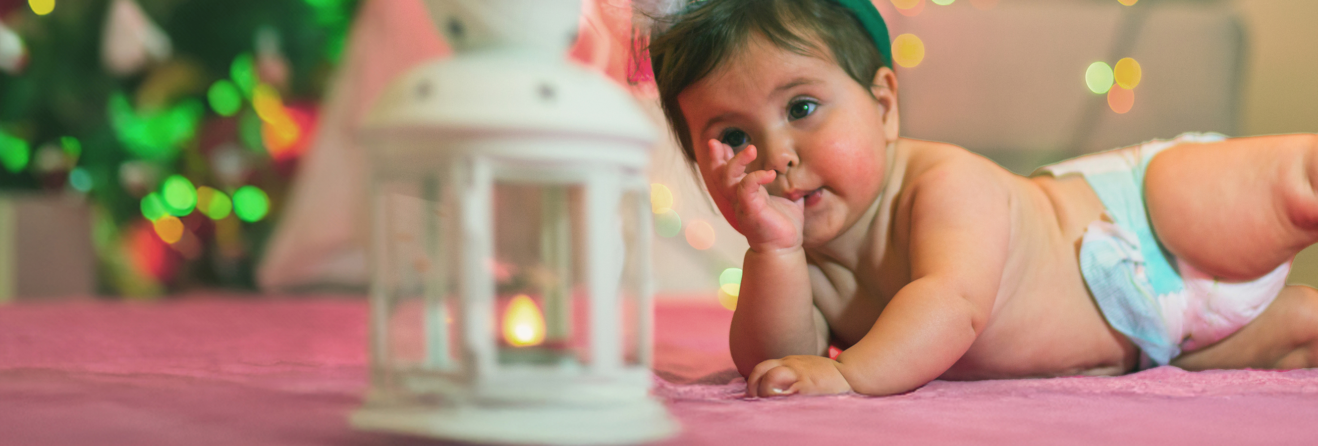 baby-tree-webheader